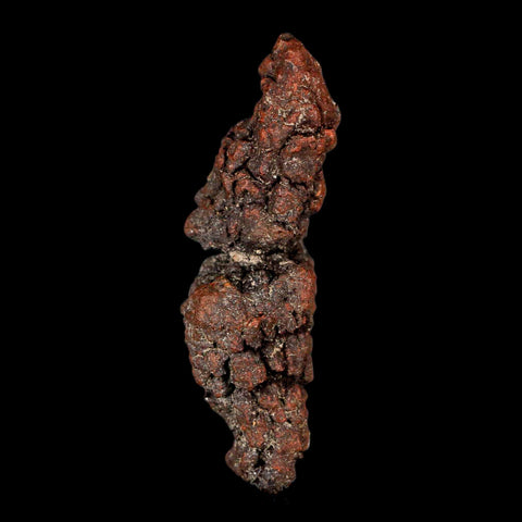 3.3" Prehistoric Coprolite Fossil Specimen Poop Dung Miocene Madagascar - Fossil Age Minerals