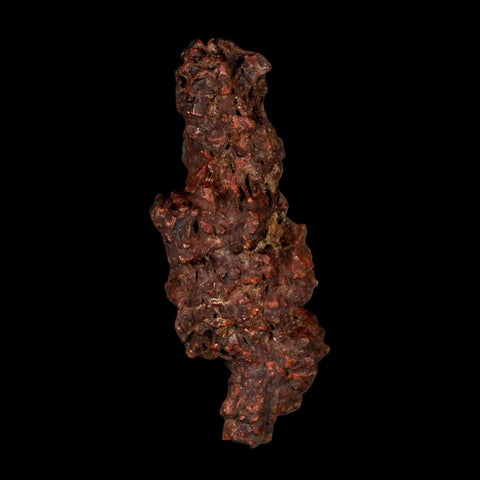 3.2" Prehistoric Coprolite Fossil Specimen Poop Dung Miocene Madagascar - Fossil Age Minerals