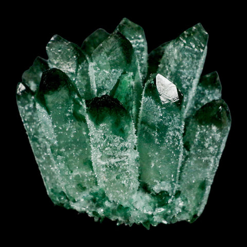4" Green Phantom Ghost Quartz Crystal, Chlorite Cluster Mineral Specimen - Fossil Age Minerals