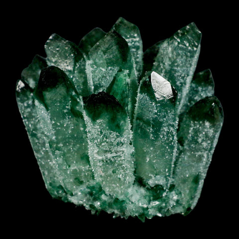 3.6" Green Phantom Ghost Quartz Crystal, Chlorite Cluster Mineral Specimen - Fossil Age Minerals