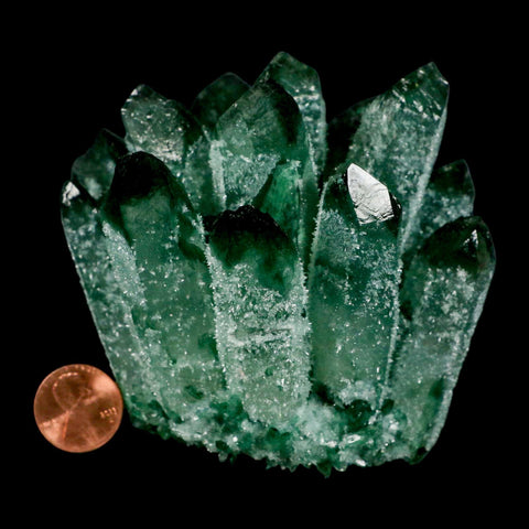 3.6" Green Phantom Ghost Quartz Crystal, Chlorite Cluster Mineral Specimen - Fossil Age Minerals