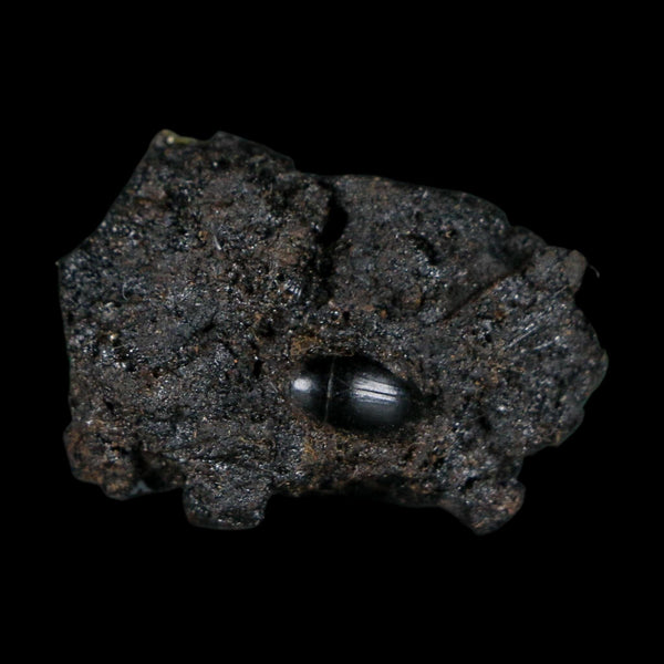 0.3