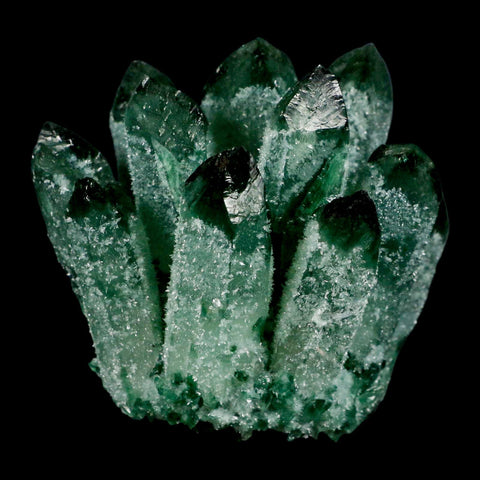 3.6" Green Phantom Ghost Quartz Crystal, Chlorite Cluster Mineral Specimen - Fossil Age Minerals