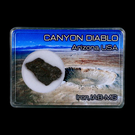 1." Canyon Diablo Arizona Meteorite Specimen Iron-Nickel Meteorites 5.89 Grams Display