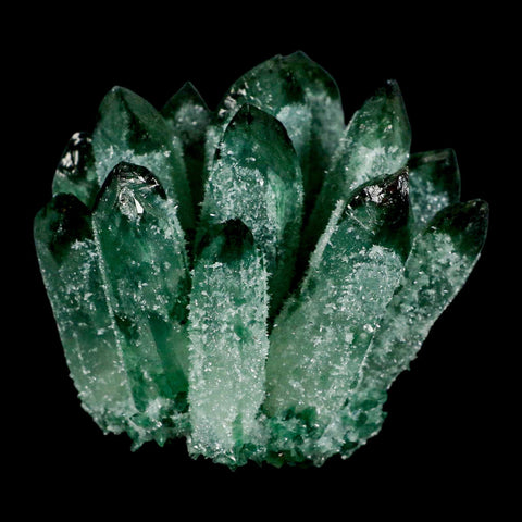 3.6" Green Phantom Ghost Quartz Crystal, Chlorite Cluster Mineral Specimen - Fossil Age Minerals
