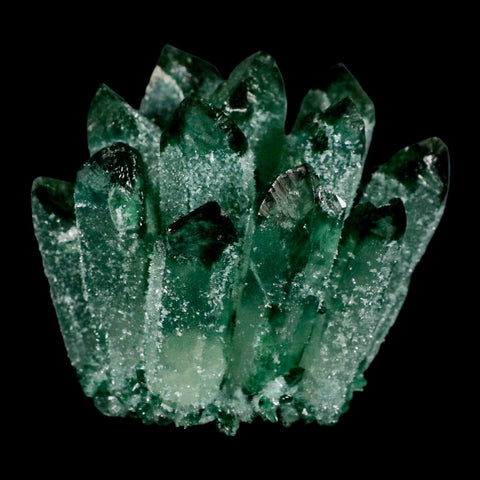 3.6" Green Phantom Ghost Quartz Crystal, Chlorite Cluster Mineral Specimen - Fossil Age Minerals