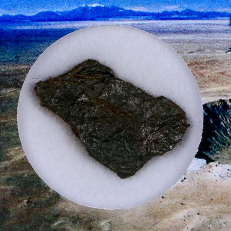 1." Canyon Diablo Arizona Meteorite Specimen Iron-Nickel Meteorites 5.89 Grams Display