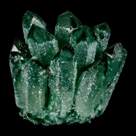 3.6" Green Phantom Ghost Quartz Crystal, Chlorite Cluster Mineral Specimen - Fossil Age Minerals