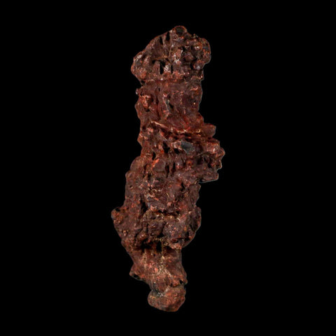 3.2" Prehistoric Coprolite Fossil Specimen Poop Dung Miocene Madagascar - Fossil Age Minerals