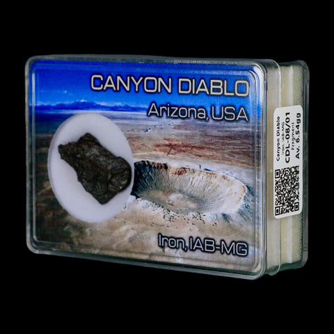 1." Canyon Diablo Arizona Meteorite Specimen Iron-Nickel Meteorites 5.89 Grams Display - Fossil Age Minerals
