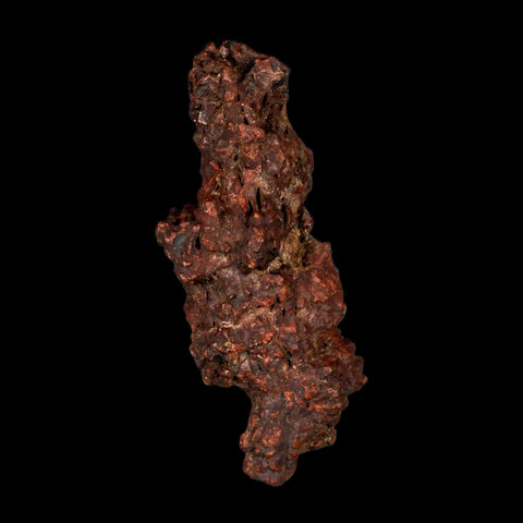 3.2" Prehistoric Coprolite Fossil Specimen Poop Dung Miocene Madagascar - Fossil Age Minerals
