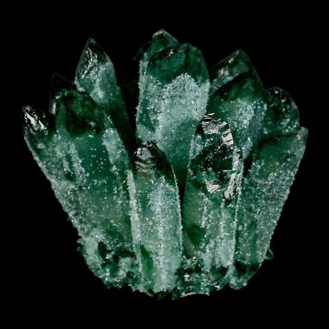 3.6" Green Phantom Ghost Quartz Crystal, Chlorite Cluster Mineral Specimen - Fossil Age Minerals