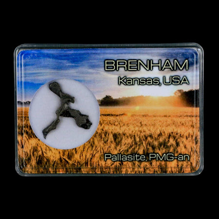 1.1" Brenham Meteorite Specimen Kiowa County, Kansas USA 2.07 Grams Display
