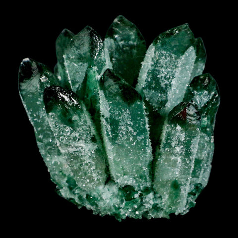 3.6" Green Phantom Ghost Quartz Crystal, Chlorite Cluster Mineral Specimen - Fossil Age Minerals