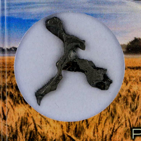 1.1" Brenham Meteorite Specimen Kiowa County, Kansas USA 2.07 Grams Display - Fossil Age Minerals