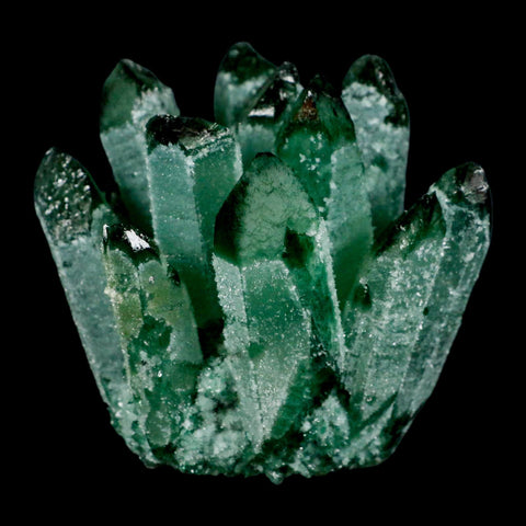 4" Green Phantom Ghost Quartz Crystal, Chlorite Cluster Mineral Specimen - Fossil Age Minerals