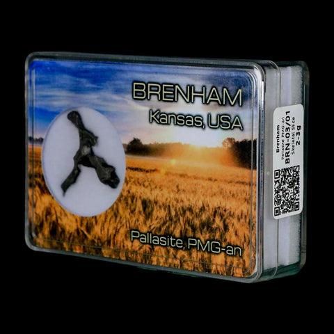 1.1" Brenham Meteorite Specimen Kiowa County, Kansas USA 2.07 Grams Display - Fossil Age Minerals