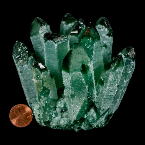 4" Green Phantom Ghost Quartz Crystal, Chlorite Cluster Mineral Specimen - Fossil Age Minerals