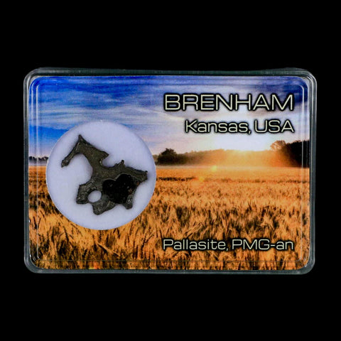 1" Brenham Meteorite Specimen Kiowa County, Kansas USA 3 Grams Display - Fossil Age Minerals