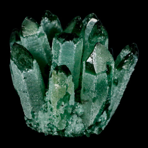 4" Green Phantom Ghost Quartz Crystal, Chlorite Cluster Mineral Specimen - Fossil Age Minerals