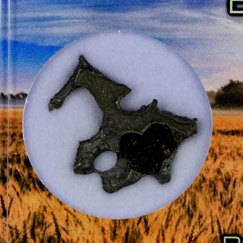 1" Brenham Meteorite Specimen Kiowa County, Kansas USA 3 Grams Display - Fossil Age Minerals