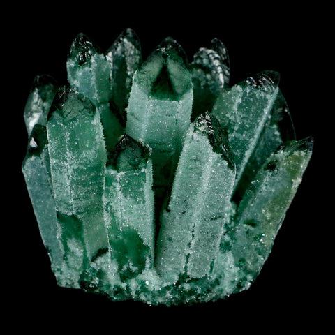 4" Green Phantom Ghost Quartz Crystal, Chlorite Cluster Mineral Specimen - Fossil Age Minerals
