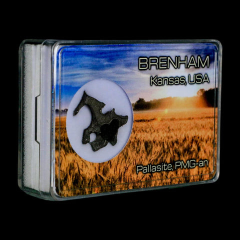 1" Brenham Meteorite Specimen Kiowa County, Kansas USA 3 Grams Display - Fossil Age Minerals