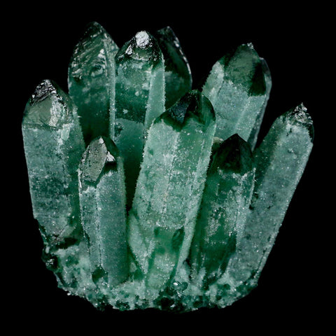4" Green Phantom Ghost Quartz Crystal, Chlorite Cluster Mineral Specimen - Fossil Age Minerals