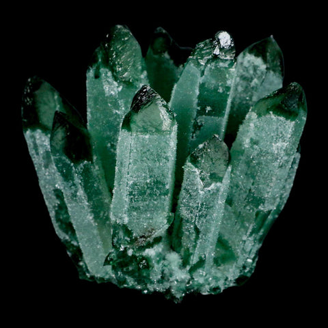 4" Green Phantom Ghost Quartz Crystal, Chlorite Cluster Mineral Specimen - Fossil Age Minerals