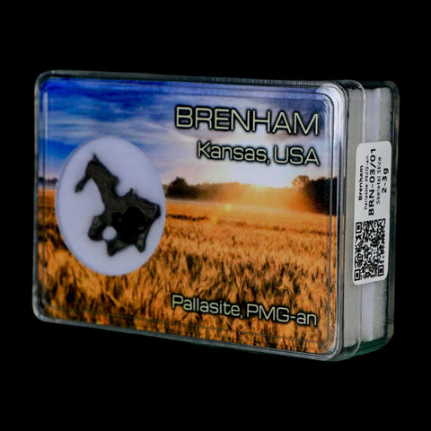 1" Brenham Meteorite Specimen Kiowa County, Kansas USA 3 Grams Display - Fossil Age Minerals