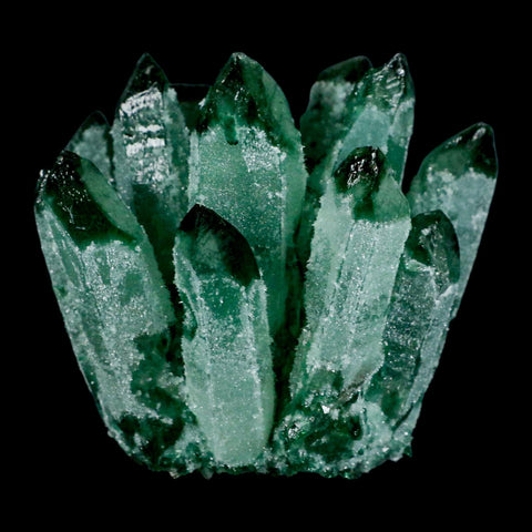 4" Green Phantom Ghost Quartz Crystal, Chlorite Cluster Mineral Specimen - Fossil Age Minerals