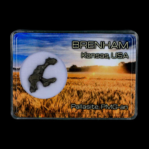 1.1" Brenham Meteorite Specimen Kiowa County, Kansas USA 2.71 Grams Display - Fossil Age Minerals