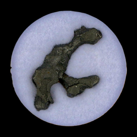 1.1" Brenham Meteorite Specimen Kiowa County, Kansas USA 2.71 Grams Display - Fossil Age Minerals