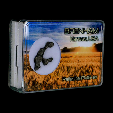 1.1" Brenham Meteorite Specimen Kiowa County, Kansas USA 2.71 Grams Display - Fossil Age Minerals