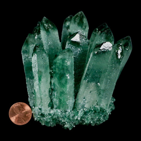 3.9" Green Phantom Ghost Quartz Crystal, Chlorite Cluster Mineral Specimen - Fossil Age Minerals