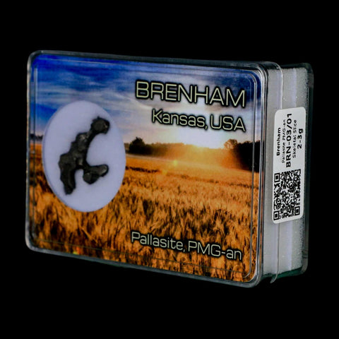 1.1" Brenham Meteorite Specimen Kiowa County, Kansas USA 2.71 Grams Display - Fossil Age Minerals