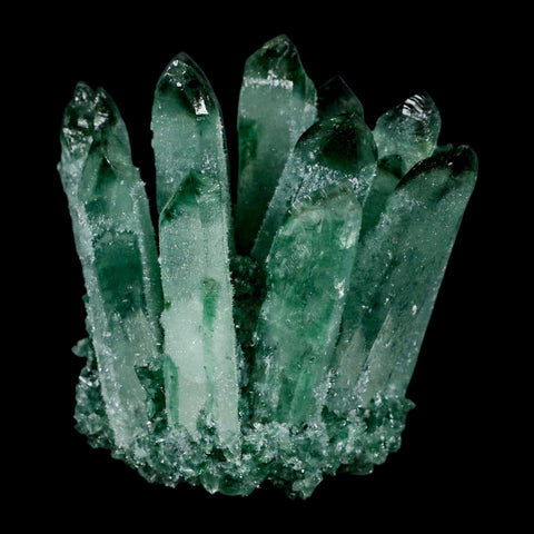 3.9" Green Phantom Ghost Quartz Crystal, Chlorite Cluster Mineral Specimen - Fossil Age Minerals