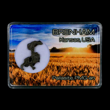 1.2" Brenham Meteorite Specimen Kiowa County, Kansas USA 2.81 Grams Display