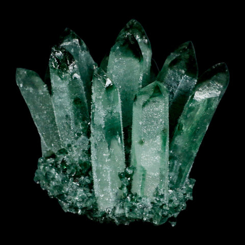 3.9" Green Phantom Ghost Quartz Crystal, Chlorite Cluster Mineral Specimen - Fossil Age Minerals