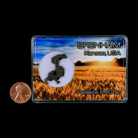 1.2" Brenham Meteorite Specimen Kiowa County, Kansas USA 2.81 Grams Display - Fossil Age Minerals