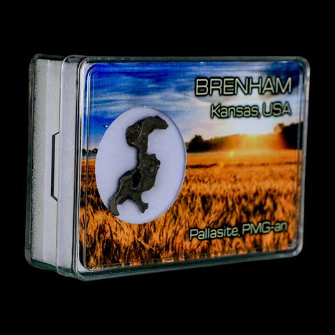 1.2" Brenham Meteorite Specimen Kiowa County, Kansas USA 2.81 Grams Display - Fossil Age Minerals