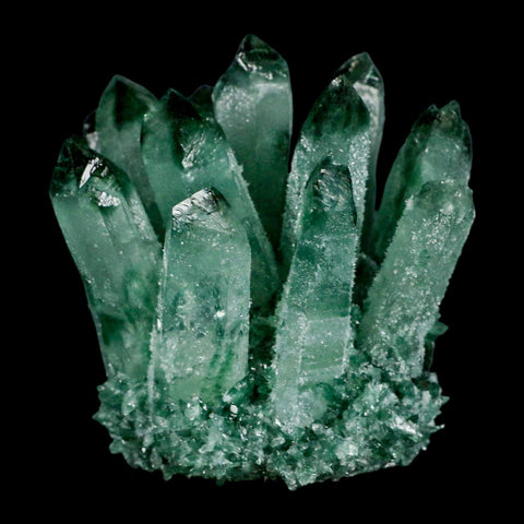 3.9" Green Phantom Ghost Quartz Crystal, Chlorite Cluster Mineral Specimen - Fossil Age Minerals