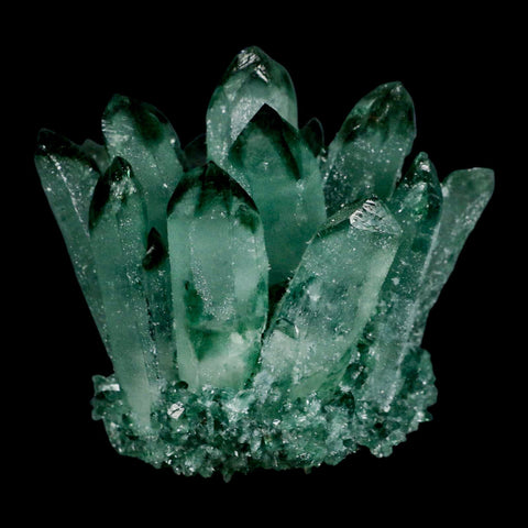 3.9" Green Phantom Ghost Quartz Crystal, Chlorite Cluster Mineral Specimen - Fossil Age Minerals