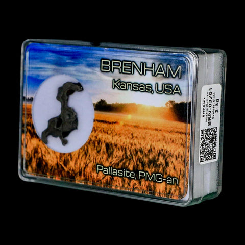 1.2" Brenham Meteorite Specimen Kiowa County, Kansas USA 2.81 Grams Display - Fossil Age Minerals