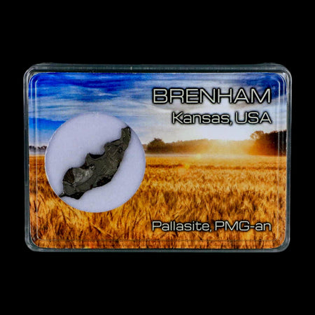 1.2" Brenham Meteorite Specimen Kiowa County, Kansas USA 2.55 Grams Display