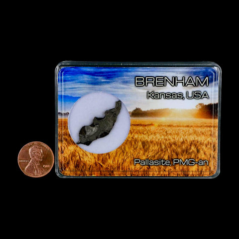 1.2" Brenham Meteorite Specimen Kiowa County, Kansas USA 2.55 Grams Display - Fossil Age Minerals