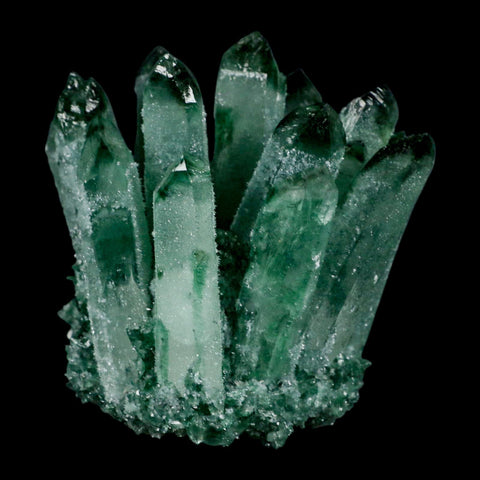 3.9" Green Phantom Ghost Quartz Crystal, Chlorite Cluster Mineral Specimen - Fossil Age Minerals