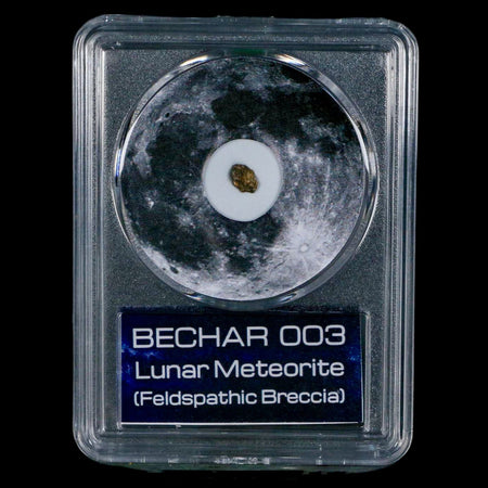 Moon Rock Lunar Meteorite Bechar 003 Algerian Sahara Desert Discovered 2022 COA