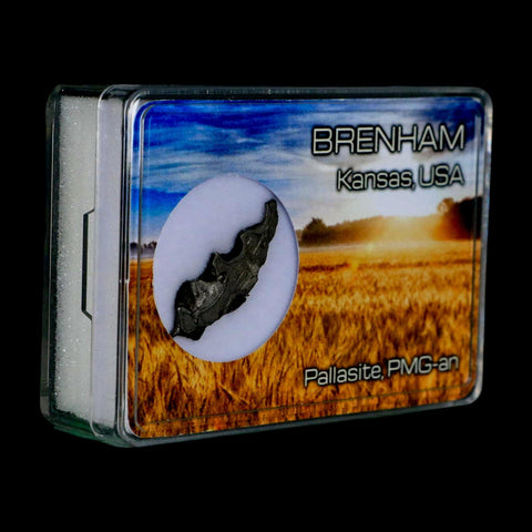 1.2" Brenham Meteorite Specimen Kiowa County, Kansas USA 2.55 Grams Display - Fossil Age Minerals