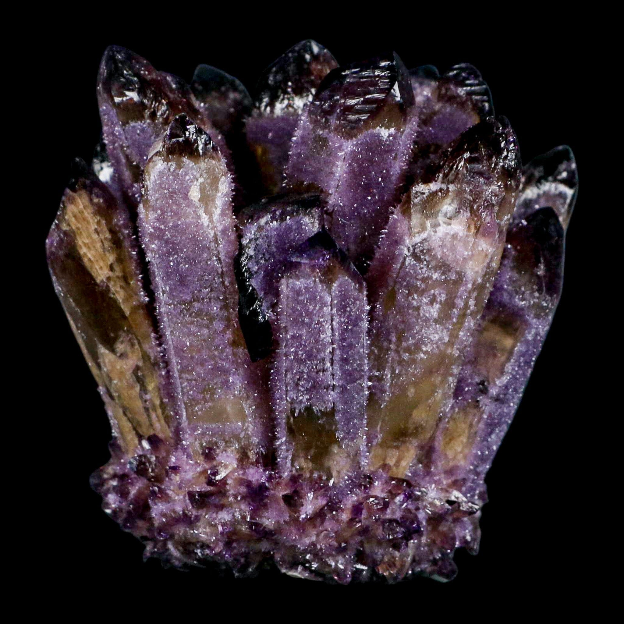 3.5" Purple Phantom Ghost Quartz Crystal, Chlorite Cluster Mineral Specimen - Fossil Age Minerals